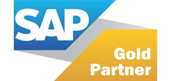 SAP Gold Partner Dubai